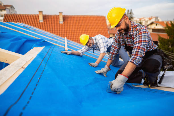 Best Flat Roof Repair Services  in Osage City, KS